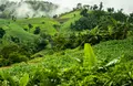 Asia-Pacific ClimateScapes: exploring opportunities, challenges and trade-offs toward just transitions for decarbonisation