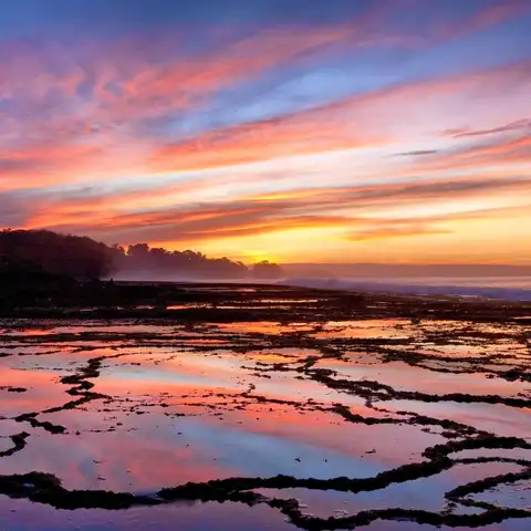 Evaluation of Research Quality of the Environment and Climate Change (ECC) Research Grants