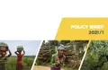 Climate change mitigation in forests: Lessons for climate security