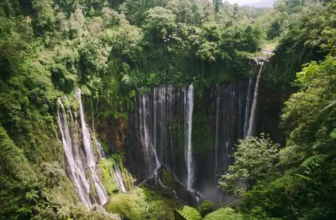 Portfolio Review of Ford Foundation Indonesia’s Forest, Land Use and Climate Justice (FLUCJ) Grant Initiatives (2020–2026)