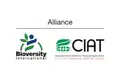 Climate change mitigation in forests: Conflict, peacebuilding, and lessons for climate security