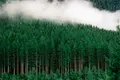 Strategy Evaluation of Ford Foundation Program on Natural Resources and Climate Change