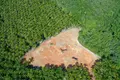 From global justice to local [in]justice: Timber market mechanisms, legality and politics of justice in Vietnam