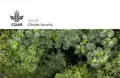 Climate change mitigation in forests: Conflict, peacebuilding, and lessons for climate security