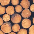 ProdJus (Supranational Forest Governance in an Era of Globalising Wood Production and Justice Politics)